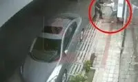 زورگیران‌ بی‌رحم پایتخت بازداشت شدند