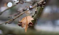 اولین باران پاییزی مهمان این استان شد