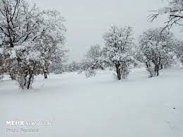 برف سنگین این منطقه از ایران را سفیدپوش کرد!