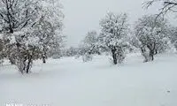 برف سنگین این منطقه از ایران را سفیدپوش کرد!