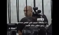 محاکمه پسرخاله بشار اسد در قفس