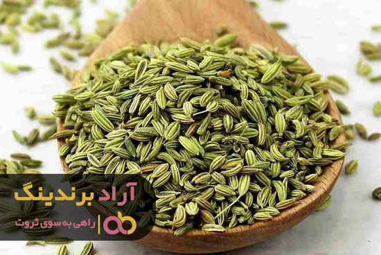 چگونه با سرمایه گذاری کردن به ثروت رسیدم؟