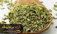 چگونه با سرمایه گذاری کردن به ثروت رسیدم؟