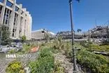 تصاویری از ساختمان قدیم مجلس یا کاخ سنا پس از جنگ