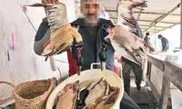 بازار بحث‌برانگیز برای همیشه تعطیل خواهد شد