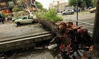 ساکنان تهران این هشدار را جدی بگیرند
