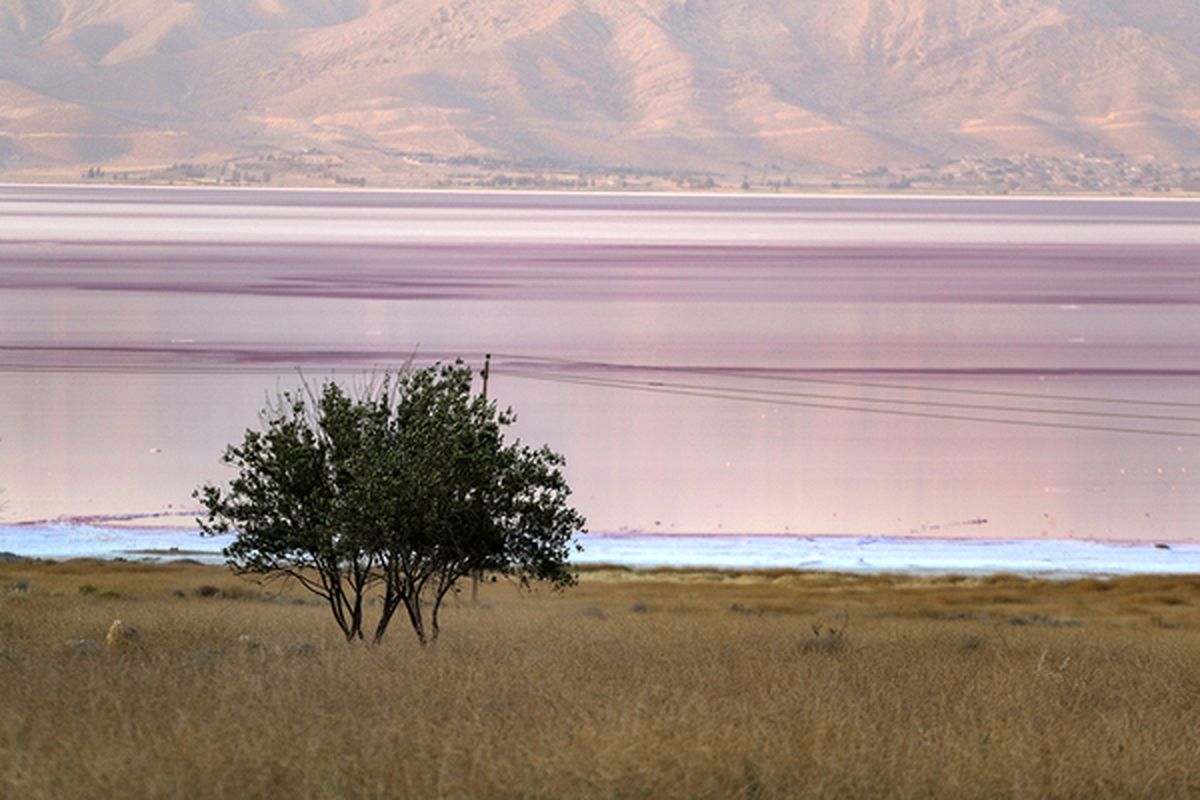   تصاویری منحصربفرد از دریاچه صورتی ایران 