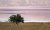 تصاویری منحصربفرد از دریاچه صورتی ایران