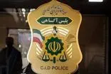 خانم دکتر از ترس دزد، داشت می‌مُرد