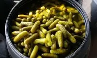 آیا لایه سفید روی آب خیارشورهای فله خطرناک است؟