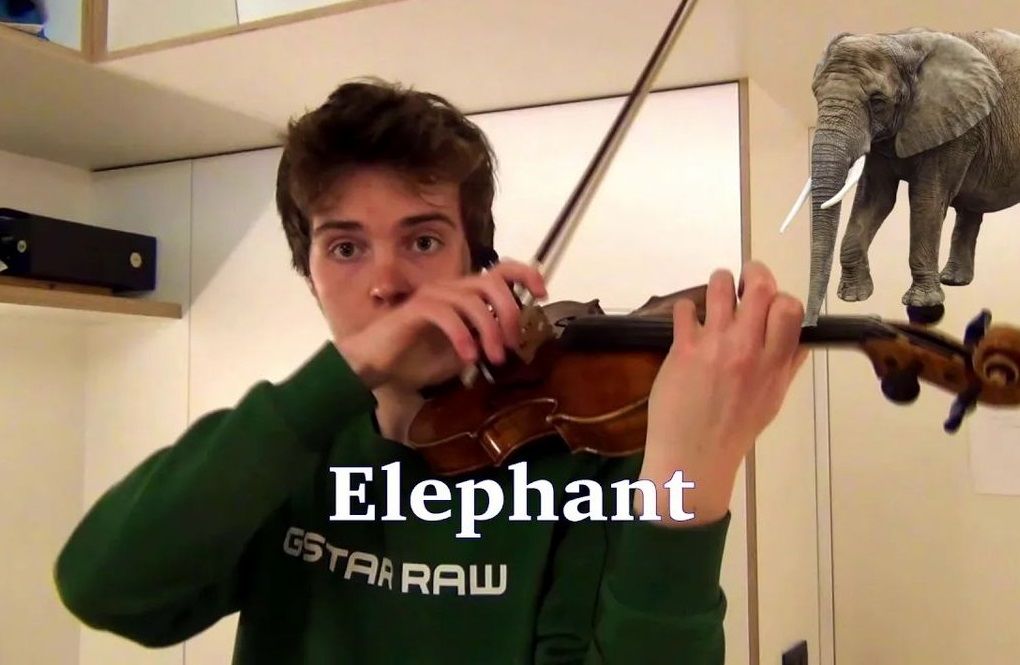 مهارت شگفت‌انگیز یک جوان در اجرای صدای حیوانات با ویولن