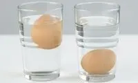 تشخیص تخم‌مرغ سالم با ۵ روش ساده
