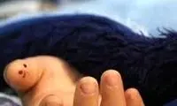  عکسی از صدیقه بچه، دزد و قاتل کودکان تهرانی 