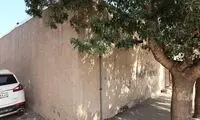 خیابانی به نام انگور در تاکستان حاشیه‌ساز شد!