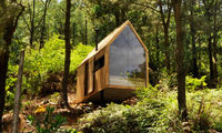 این خانه کوچک در دل جنگل، آرزوی خیلی‌هاست