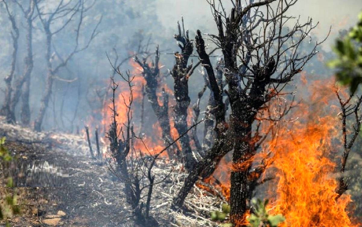 آغاز عملیات هوایی برای مهار آتش‌سوزی جنگل چالوس