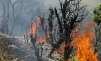 آغاز عملیات هوایی برای مهار آتش‌سوزی جنگل چالوس