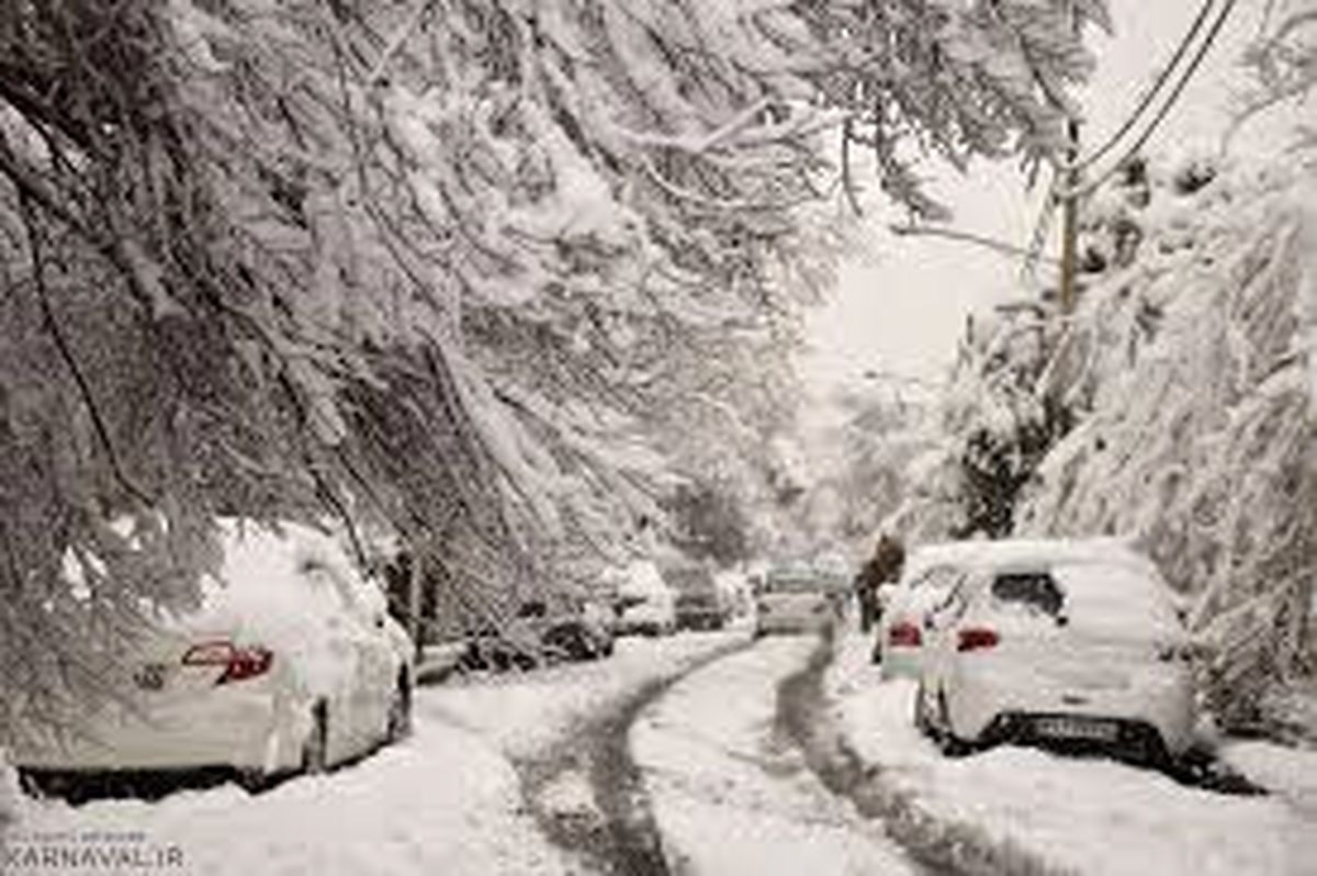 تصاویر جذاب از بارش شبانه برف در تهران
