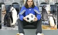 عجیب‌ترین فوتبالیست دنیا؛ از 3 بار مردن در زمین تا سرقت پنگوئن!