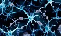 چرا مبتلایان به سرطان از آلزایمر مصون‌اند؟