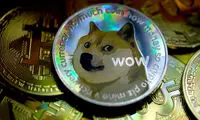 تفاوت بیت کوین و دوج کوین، بررسی کامل 2 ارز دیجیتال محبوب