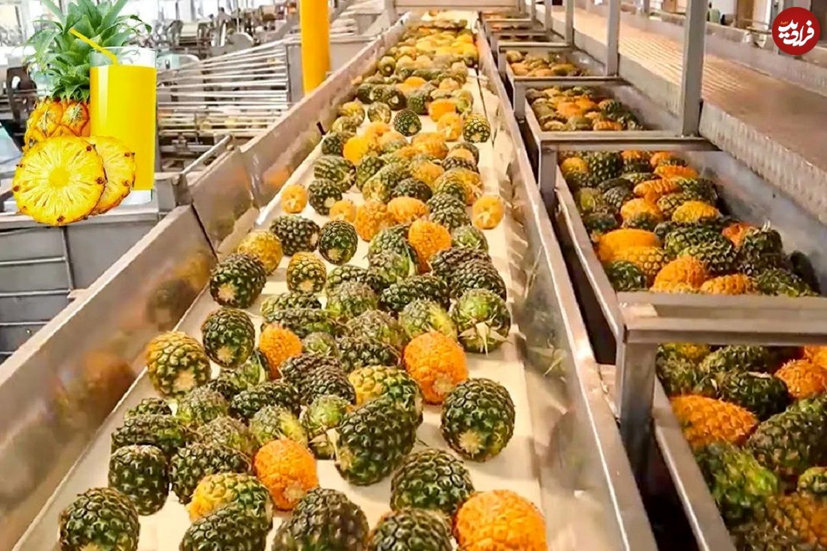  تا به حال نحوه تهیه آب آناناس در کارخانه را دیده بودید؟