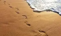 کشف ردپاهای ترسناک‌ترین پرنده ماقبل تاریخ