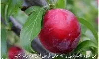 این میوه تابستانی را به جای قرص آهن مصرف کنید