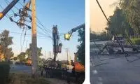 سقوط درخت روی شبکه برق در اتوبان لشکر اهواز 