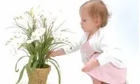 نام 3 گیاهی که انسان‌ها را می‌کُشد