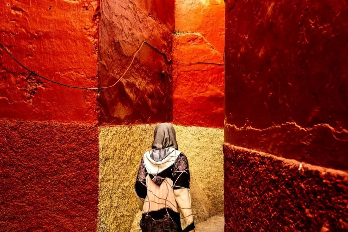   برندگان مسابقه عکاسی رنگ‌ها ۲۰۲۵ مشخص شدند 
