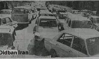 سرنوشت تارزان ایرانی چه شد؟ 
