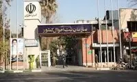 محبوب‌ترین اسامی نوزادان تهرانی در ۱۴۰۱