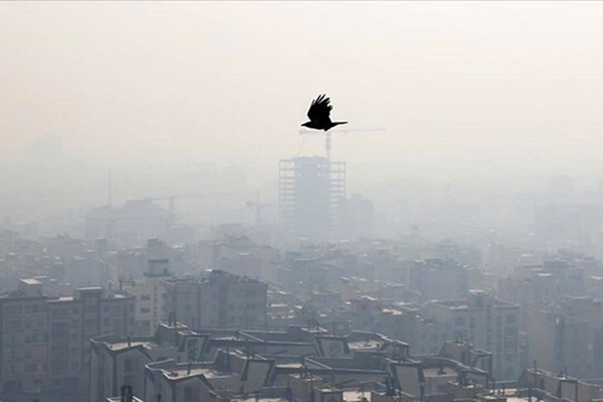 اگر بر اثر آلودگی هوا این علائم را داشتید به اورژانس مراجعه کنید