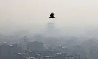 اگر بر اثر آلودگی هوا این علائم را داشتید به اورژانس مراجعه کنید