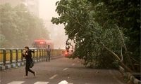این استان‌ها منتظر گرد و خاک شدید باشند