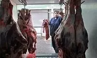 توزیع گوشت گوسفندی تنظیم بازاری