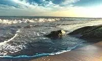 ویدیویی تماشایی که طی ساعات اخیر وایرال شد 