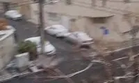 ویدئوی بارش شدید برف در شمال تهران