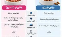 چه غذایی برای گربه خوبه؟ راهنمای کامل تغذیه گربه