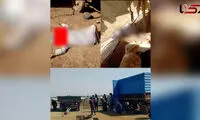 ماجرای قتل عام دلخراش یک خانواده در هویزه 