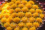 طرز تهیه حلوای شیر زعفرانی؛ دسر اصیل ایرانی برای مهمانی‌ها