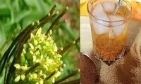 توصیه های طب سنتی برای خنک شدن بدن در تابستان