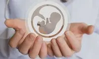 تشویق به درآمدهای میلیونی با اهدای تخمک‌های دور ریختنی!