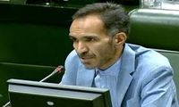 هشدار نماینده مجلس پس از قتل الهه حسین‌نژاد