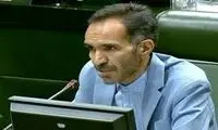 هشدار نماینده مجلس پس از قتل الهه حسین‌نژاد