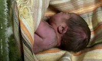  روایت تلخ  از دفن کودک ۱۰ ماهه در آغوش مادر