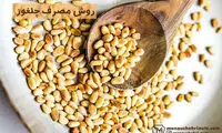 روش مصرف چلغوز + بررسی فواید دانه کاج