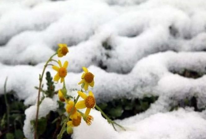 بارش برف در اولین روز بهار مردم را غافلگیر کرد