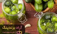 جایگاه بالا در ثروت را مدیون ردپای خیارشور هستم